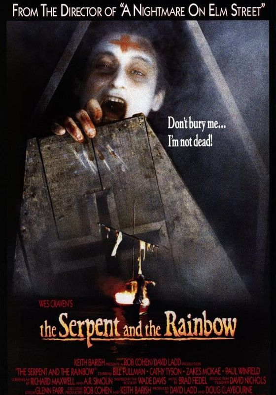 ดูหนังThe Serpent and the Rainbow -  อาถรรพ์ ผงกระตุกวิญญาณ (1988) [HD] พากย์ไทย บรรยายไทย