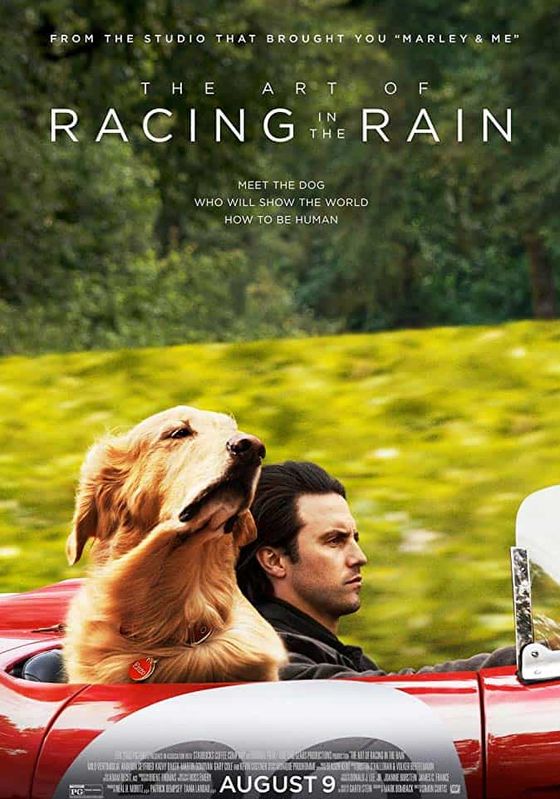 ดูหนังThe Art of Racing in the Rain (2019)  - อุ่นไอหัวใจตูบ (2019) [HD] พากย์ไทย บรรยายไทย