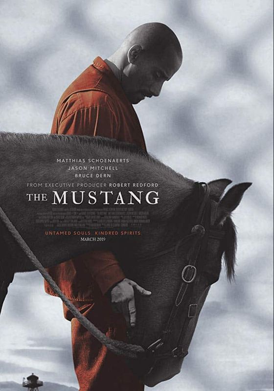 ดูหนังThe Mustang (2019) - The Mustang  (2019)