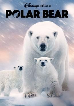 ดูหนังPolar Bear - หมีโพล่า (2022) [HD] ซาวด์แทร็กซ์ บรรยายไทย