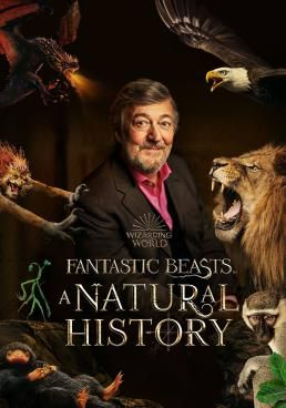 ดูหนังFantastic Beasts: A Natural History  -  ความลับของดัมเบิลดอร์  (2022) [HD] พากย์ไทย บรรยายไทย