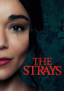 ดูหนังThe Strays - คนหลงทาง (2023) [HD] พากย์ไทย