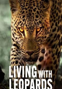 ดูหนังLiving with Leopards - อยู่กับเสือดาว (2024) [HD] ซาวด์แทร็กซ์ บรรยายไทย