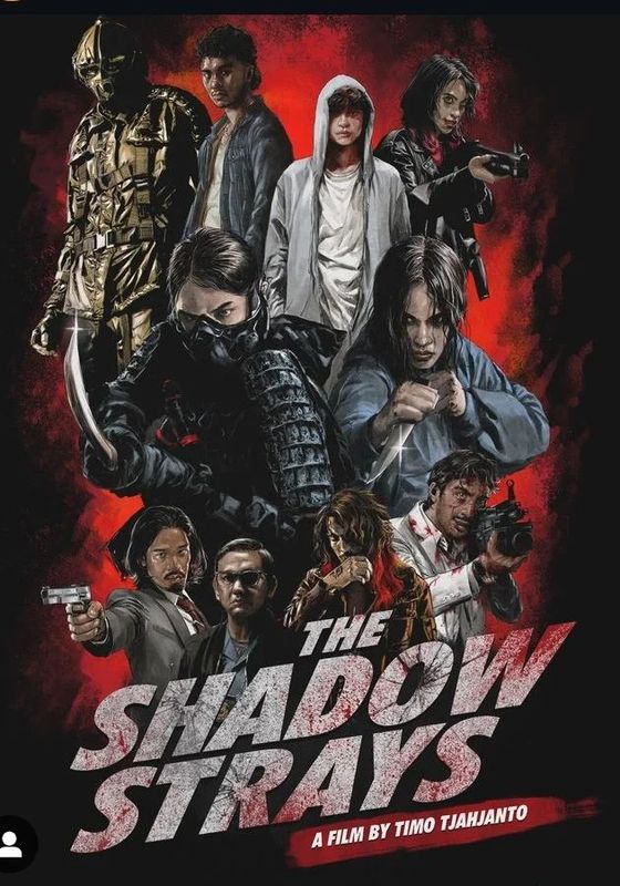 ดูหนังThe Shadow Strays - นักฆ่าเงาล่าทรชน (2024) [HD] พากย์ไทย บรรยายไทย