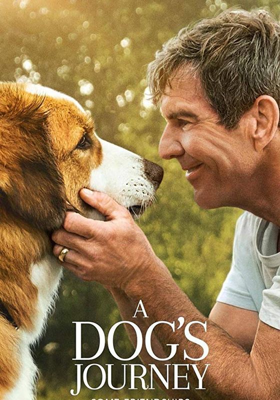 ดูหนังA Dog’s Journey (2019) - หมา เป้าหมาย และเด็กชายของผม 2 (2019)